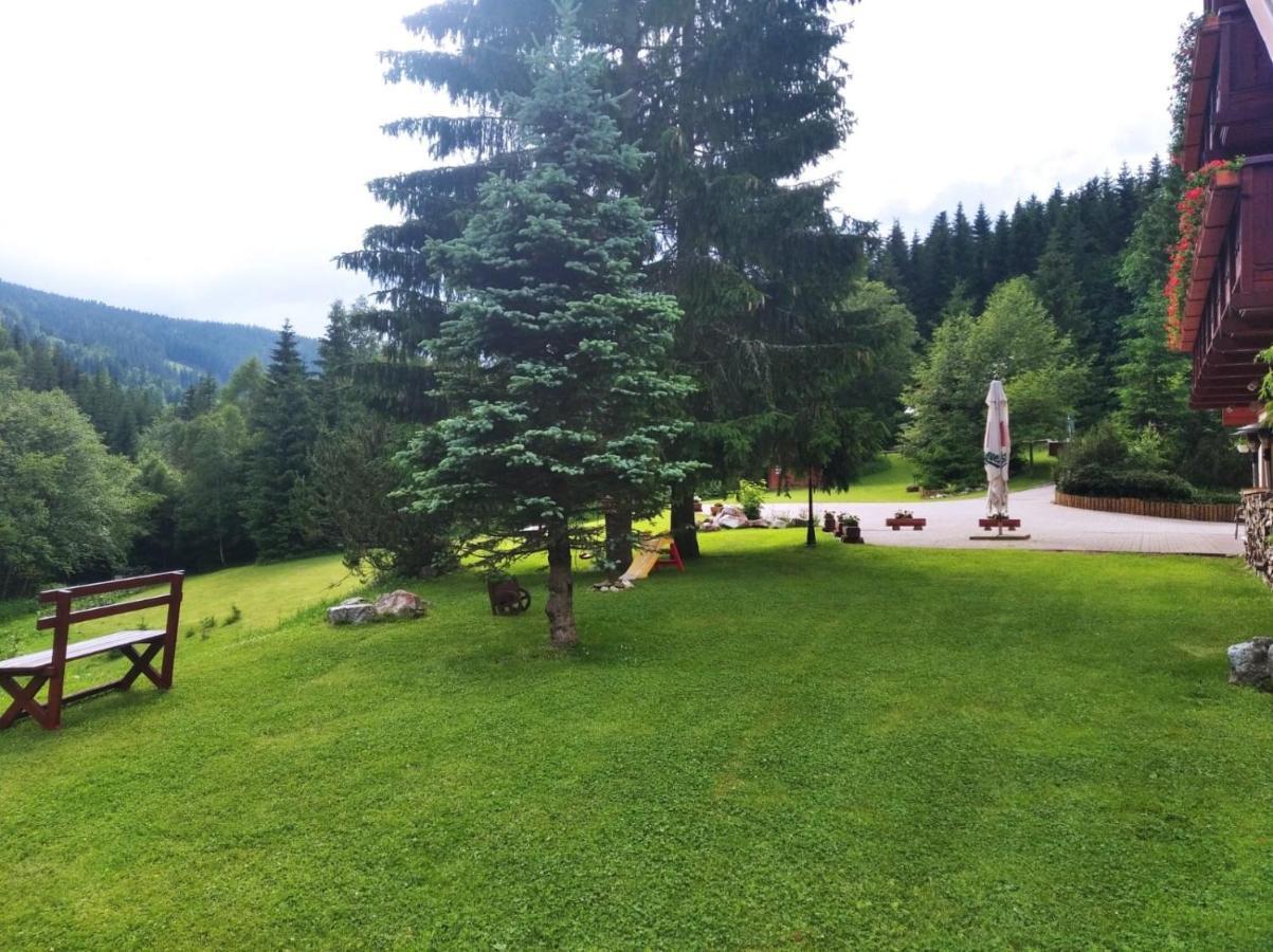 Apartments Esplanade Špindlerŭv Mlýn Dış mekan fotoğraf